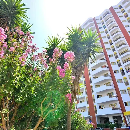 Da Rocha, Flamingo, Wi-fi Gratuito By S&bp